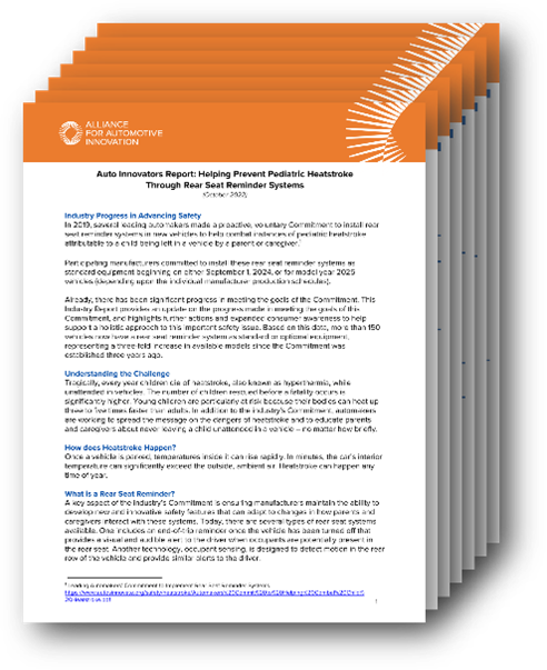 a miniaturized preview of the printed report